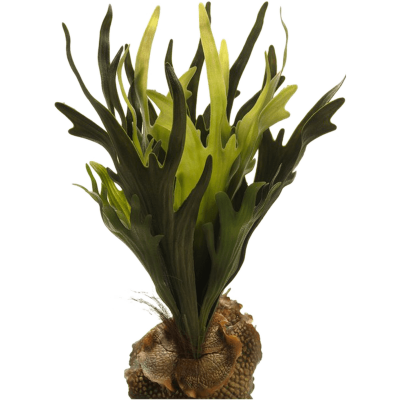 Стагхорн / Staghorn fern растение искусственное