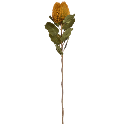 Банксия / Banksia растение искусственное