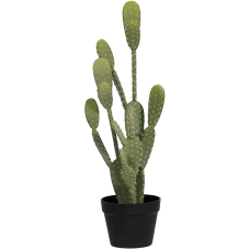 Кактусы / Cactus Opuntia растение искусственное