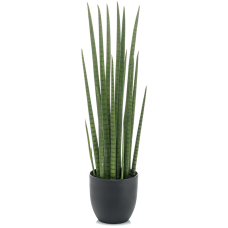 Сансевиерия / Sansevieria cylindrica растение искусственное