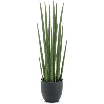 Сансевиерия / Sansevieria cylindrica растение искусственное