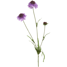 Скабиоза / Scabiosa растение искусственное