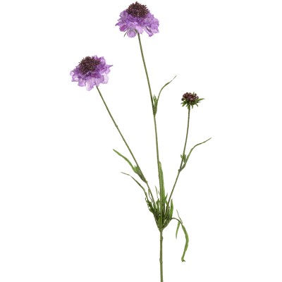 Скабиоза / Scabiosa растение искусственное