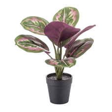 Калатея / Calathea растение искусственное