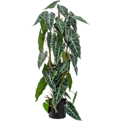 Алоказия / Alocasia растение искусственное