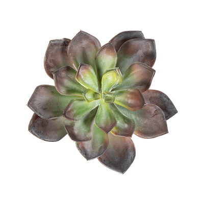 Эхеверия / Echeveria растение искусственное