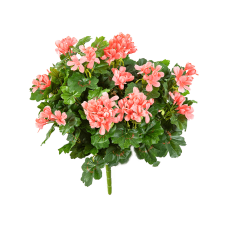 Герань / Geranium cascade растение искусственное