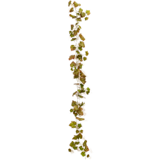 Виноград / Grape ivy растение искусственное