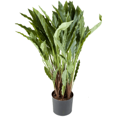 Калатея / Calathea растение искусственное