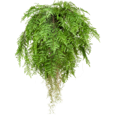 Папоротник / Fern w roots растение искусственное