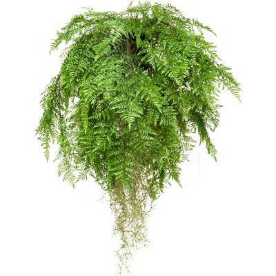 Папоротник / Fern w roots растение искусственное