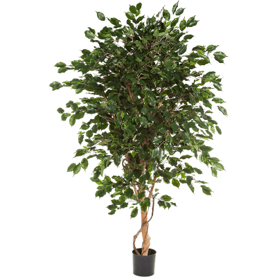 Фикус Экзотика Де Люкс / Ficus exotica de luxe растение искусственное