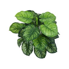 Калатея / Calathea растение искусственное