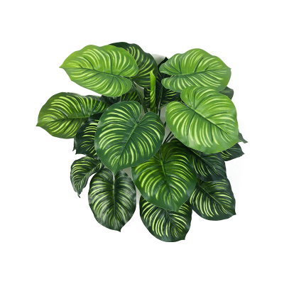 Калатея / Calathea растение искусственное