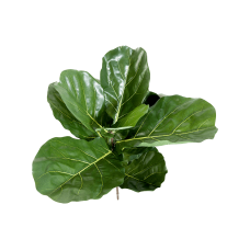 Fiddle leaf spray растение искусственное