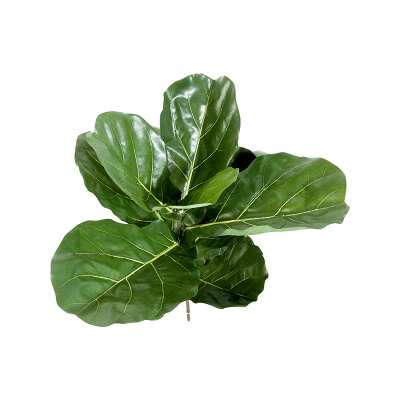 Fiddle leaf spray растение искусственное