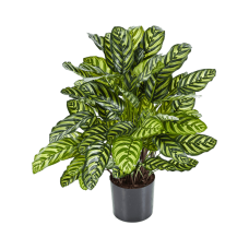 Калатея / Calathea растение искусственное