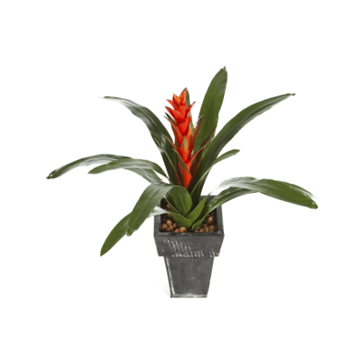 Гузмания / Guzmania continental растение искусственное