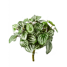 Арбуз / Water melon растение искусственное