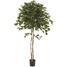 Фикус Экзотика Амбрелла / Ficus exotica umbrella растение искусственное