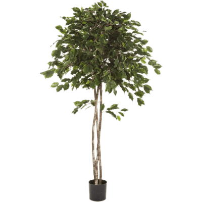 Фикус Экзотика Амбрелла / Ficus exotica umbrella растение искусственное