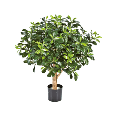 Питтиспорум / Pittisporum ball tree растение искусственное