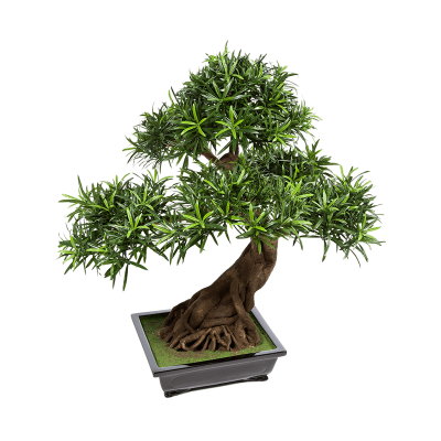 Бонсай Подокарпус / Bonsai Podocarpus растение искусственное