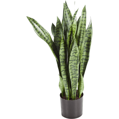 Сансевиерия в кашпо / Sansevieria растение искусственное