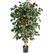 Фикус / Ficus nitida exotica растение искусственное