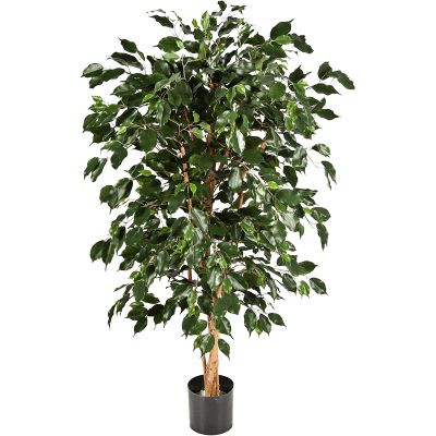 Фикус / Ficus nitida exotica растение искусственное