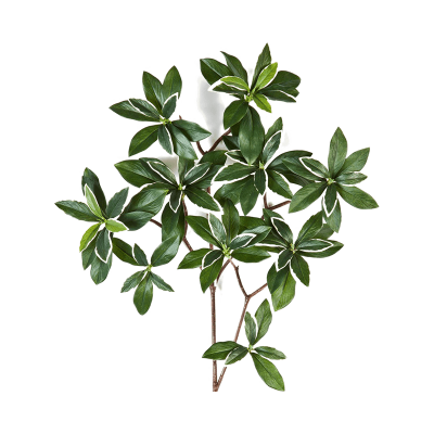 Бересклет / Euonymus japonicus растение искусственное