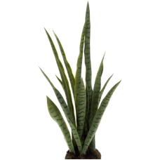 Сансевиерия / Sansevieria soiled растение искусственное