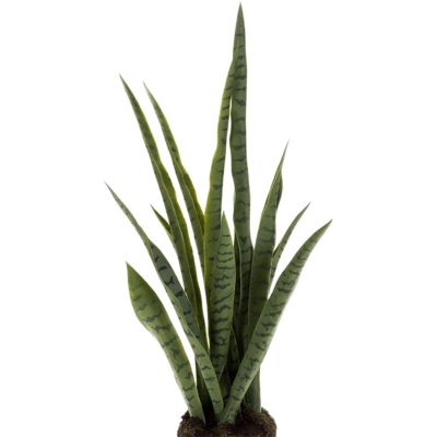 Сансевиерия / Sansevieria soiled растение искусственное