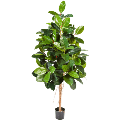 Фикус / Ficus elastica растение искусственное