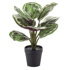 Калатея / Calathea растение искусственное