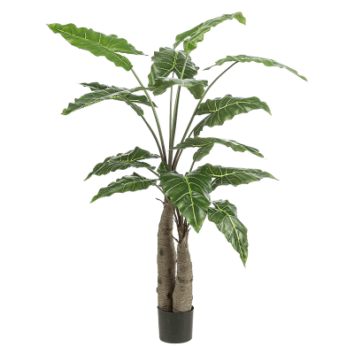 Алоказия / Alocasia растение искусственное