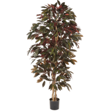 Калатея / Capensia растение искусственное
