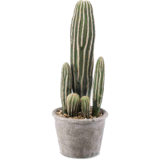 Кактус / Cactus san pedro растение искусственное