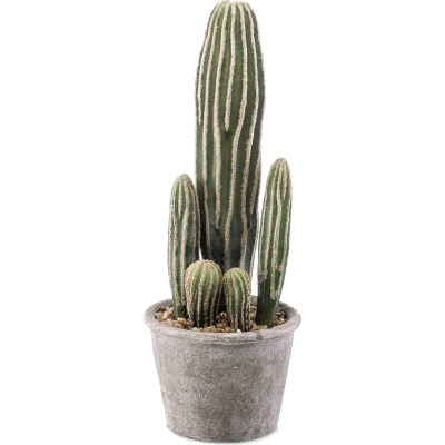 Кактус / Cactus san pedro растение искусственное