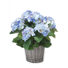 Гортензия / Hydrangea растение искусственное