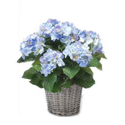 Гортензия / Hydrangea растение искусственное