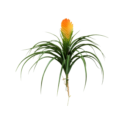 Бромелия Вриезия / Bromelia vriesia растение искусственное