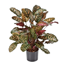 Калатея / Calathea растение искусственное