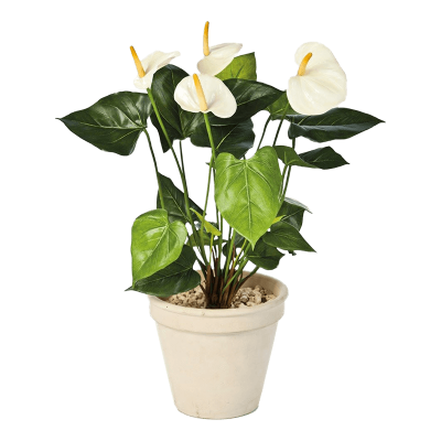 Антуриум Люкс / Anthurium de luxe растение искусственное