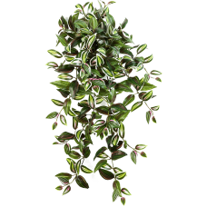 Wandering jew растение искусственное