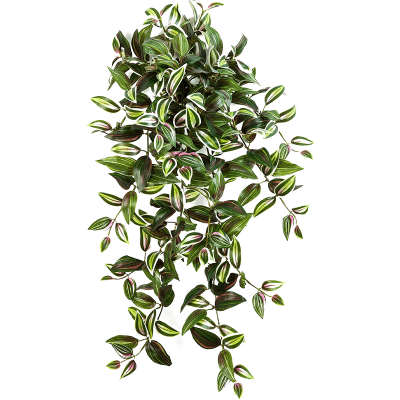 Wandering jew растение искусственное