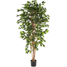 Фикус Нитида / Ficus nitida растение искусственное