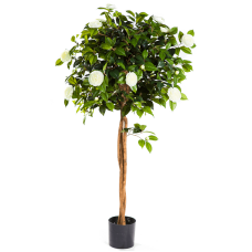 Камелия Амбрелла дерево / New camelia umbrella растение искусственное