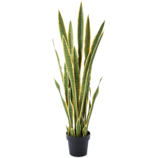 Сансевиерия в кашпо / Sansevieria var. растение искусственное