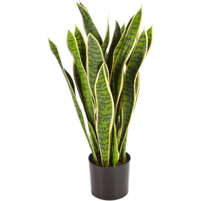 Сансевиерия в кашпо / Sansevieria var. растение искусственное